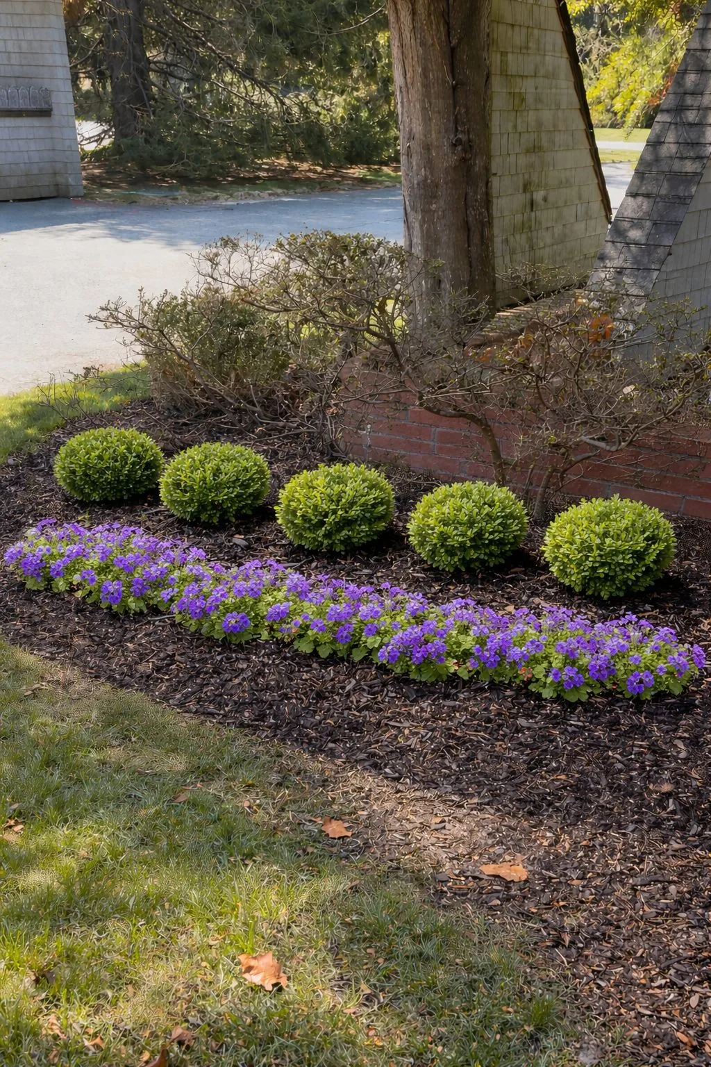 Garden bed planting and mulching